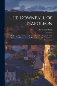 Downfall of Napoleon