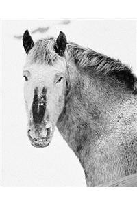 Horse Photo School Composition Book Equine Pony Snowstorm