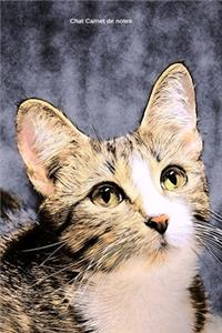 Chat Carnet de notes