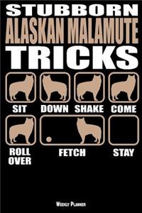 Stubborn Alaskan Malamute Tricks Weekly Planner