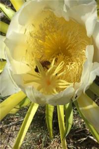 Cactus Flower Notebook