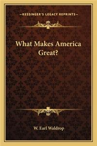 What Makes America Great?