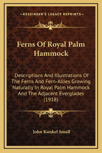 Ferns Of Royal Palm Hammock