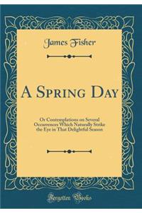 A Spring Day