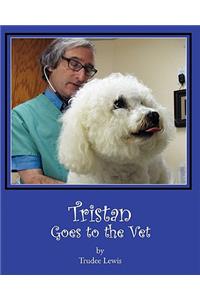 Tristan Goes to the Vet