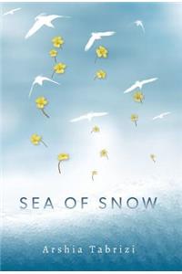 Sea of Snow