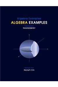 Algebra Examples Trigonometry