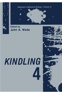 Kindling 4