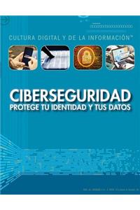 Ciberseguridad: Protege Tu Identidad Y Tus Datos (Cybersecurity: Protecting Your Identity and Data)
