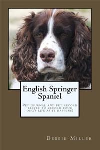 English Springer Spaniel