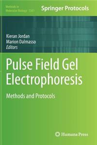 Pulse Field Gel Electrophoresis