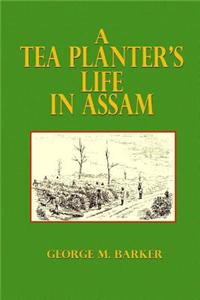 A Tea Planter's Life in Assam