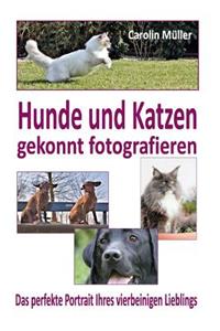 Hunde und Katzen gekonnt fotografieren - Das perfekte Portrait Ihres vierbeinige