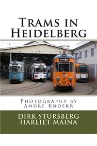 Trams in Heidelberg: Photography by Andre Knoerr