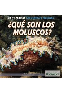 ¿Qué Son Los Moluscos? (What Are Mollusks?)