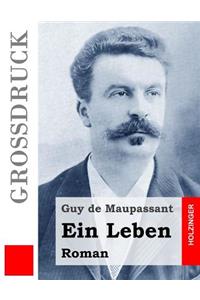 Ein Leben (Großdruck)