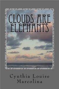 Clouds Are Elephants