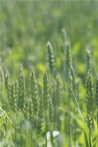 Green Rye Field Journal