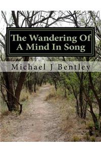 Wandering Of A Mind In Song
