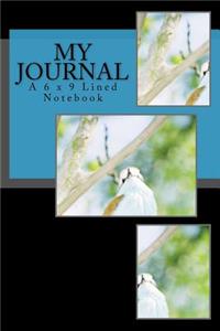 My Journal