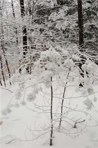 Lovely Winter Picture Journal