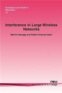 Interference in Large Wireless Networks