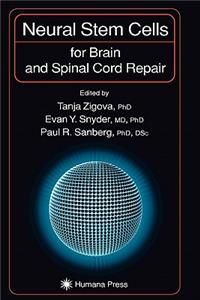 Neural Stem Cells for Brain and Spinal Cord Repair