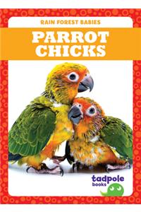 Parrot Chicks
