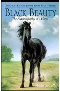 Black Beauty Illustrated