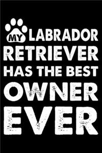 My Labrador Retriever Has The Best Owner Ever