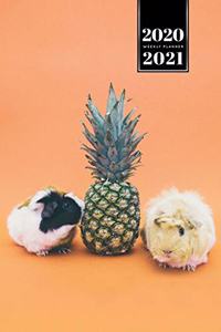 Hamster Guinea Pig Rodent Week Planner Weekly Organizer Calendar 2020 / 2021 - Playing with Pineapple