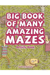 Big Book of Many Amazing Mazes Activity Book