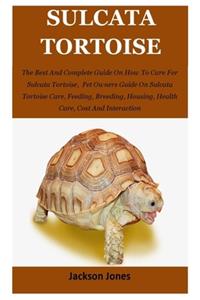 Sulcata Tortoise