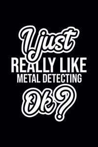I Just Really Like Metal Detecting Ok?
