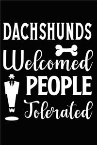 Dachshunds Welcomed People Tolerated