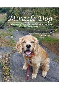 Miracle Dog
