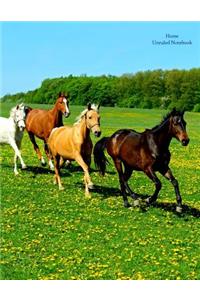 Horse Unruled Notebook