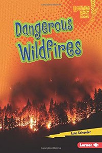 Dangerous Wildfires