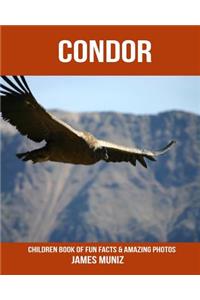 Condor