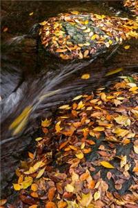 Fallen Leaves in a Stream Journal
