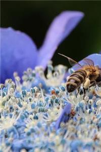 Bee in the Hydrangea Flowers Journal