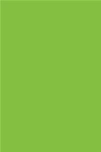 Lime Green 101 - Combo Lined & Blank Notebook