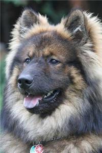 The Eurasian Dog Notebook