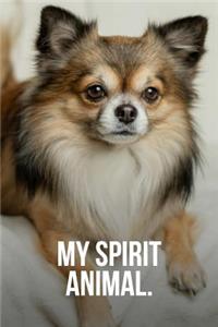 My Spirit Animal: Long-Haired Chihuahua Journal