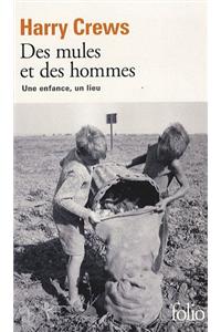 Mules Et Des Hommes