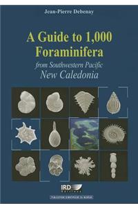 A Guide to 1,000 Foraminifera from Southwestern Pacific, New Caledonia