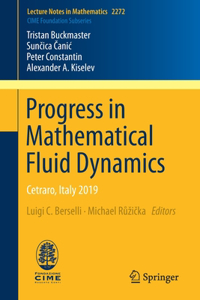 Progress in Mathematical Fluid Dynamics