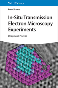 In-Situ Transmission Electron Microscopy Experiments