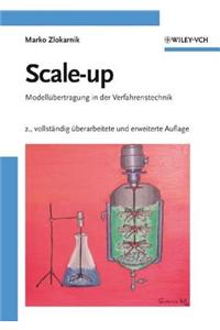 Scale-up: Modellubertragung in der Verfahrenstechnik