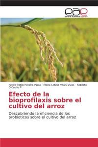 Efecto de la bioprofilaxis sobre el cultivo del arroz